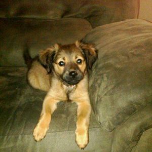 Meet your Posher, Traci